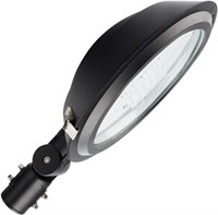 Lampione Led Stradale 60W 6000K Led & Driver Philips