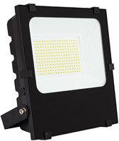 Proiettore 100W 6000K Ip65 Triac